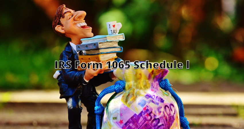 irs form 1065 schedule l instructions