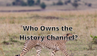 Who Owns the History Channel?